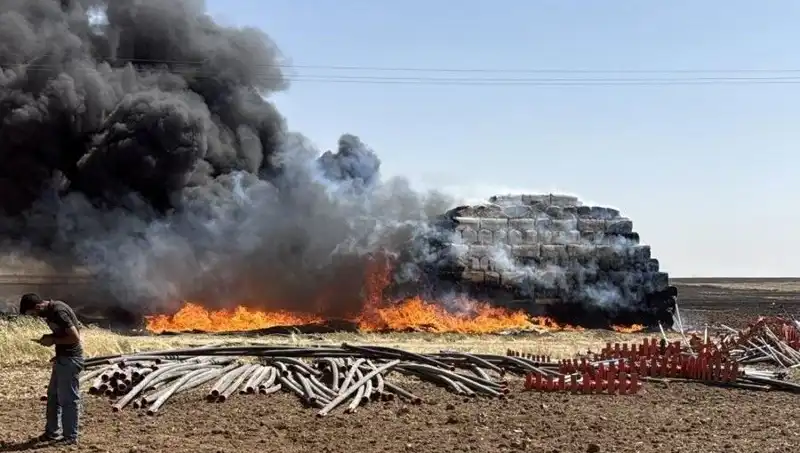Mardin'de Anız Yangını: Doğayı Tehdit Eden Korkutucu Olay
