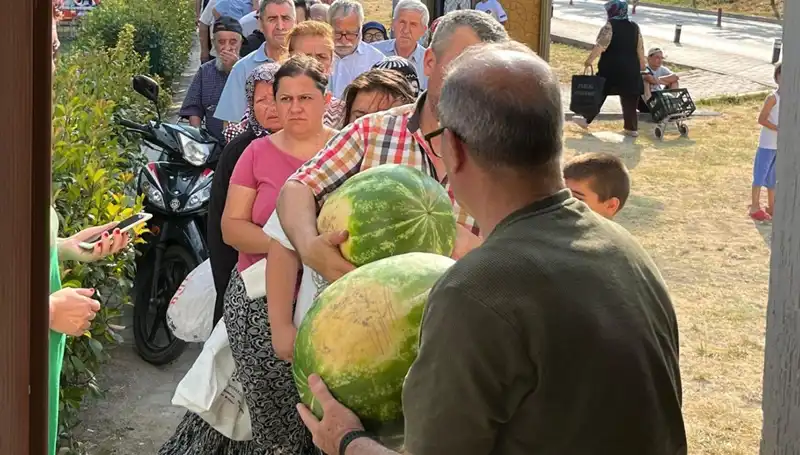 Hasat Zamanı Geldi Ama Ürünler Tarlada Kaldı: Neden?