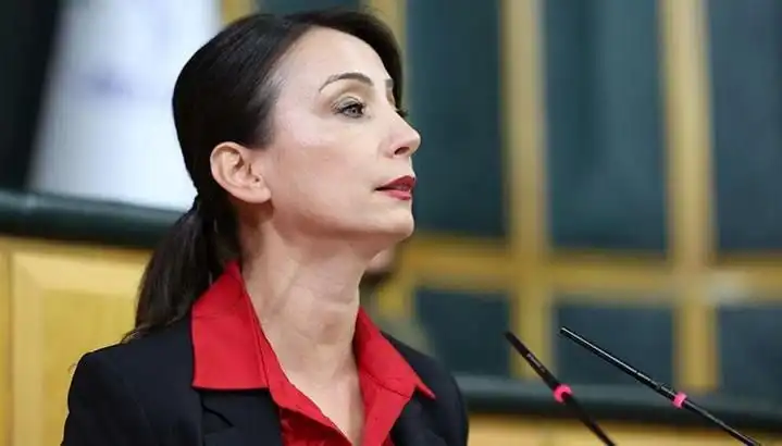 Öcalan'ın Silah Bırakma Çağrısı: DEM Parti Turuna Çıkıyor