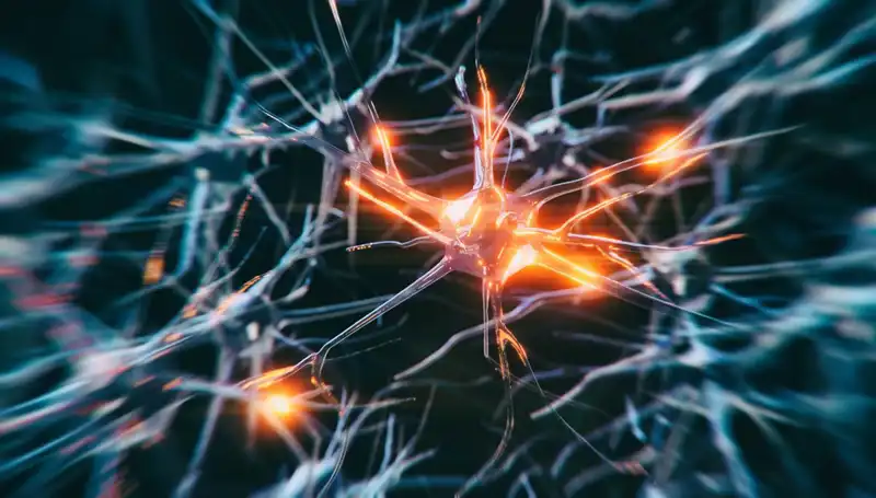 Alzheimer Vakaları Neden Arttı? Uzmanlardan Çarpıcı Açıklamalar!