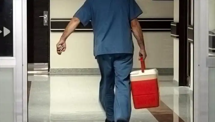 Organ Bağışında Dijital Dönüşüm: e-Devlet ve e-Nabız İle Kolay Başvuru!