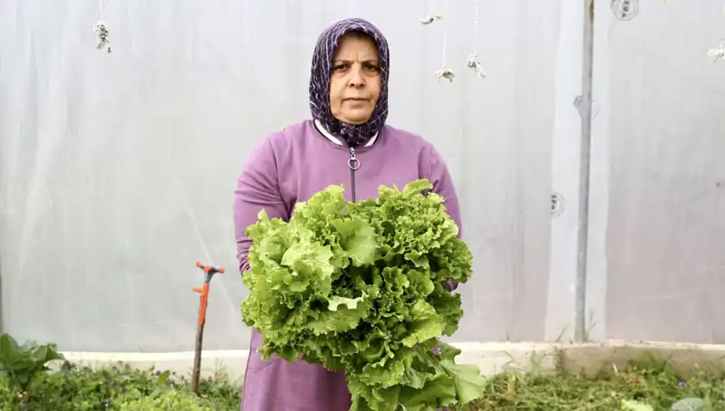 Emeklilik Sonrası Memlekete Dönen Kadın, Hayallerini Gerçeğe Dönüştürdü!