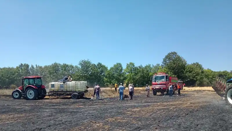 Buğday Tarlasında Çıkan Yangında Büyük Ziyan: 10 Dönüm Zarar Gördü