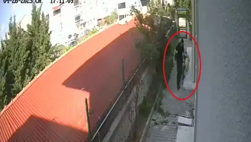 Sinirleri Bozacak Olay: Doktorun Trajik Köpek İhlali