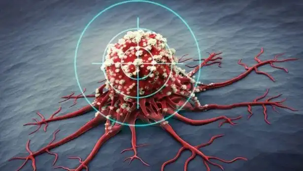 Prostat Kanseriyle Savaşan 6 Besin: Sağlığınıza Faydaları