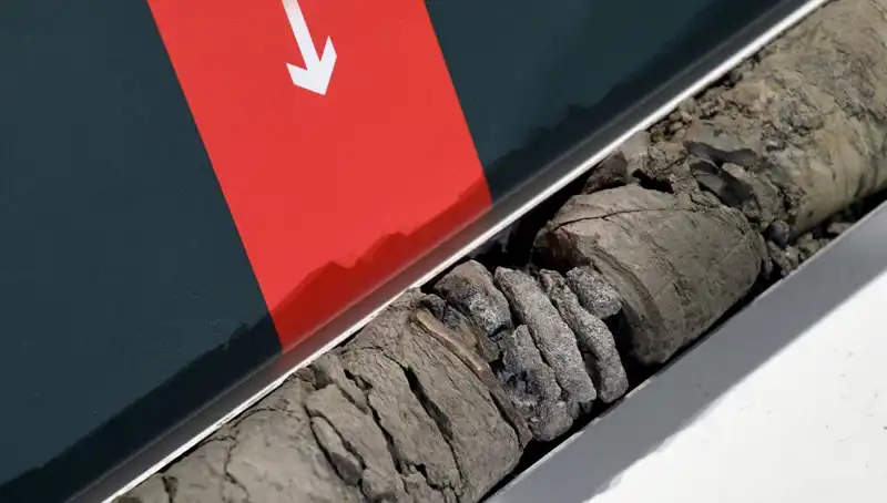 Müze Otoparkında Tarihi Keşif: Dinozor Fosili Ortaya Çıktı!