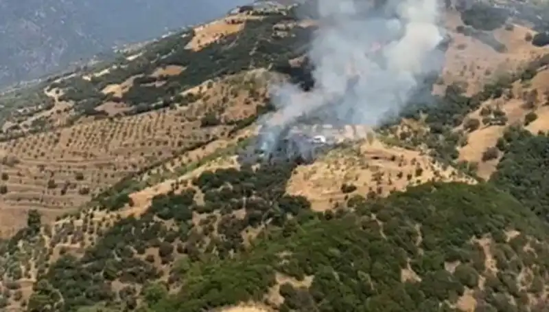 Aydın’da Büyüyen Zeytinlik Yangını, Tarım Alanlarını Tehdit Ediyor