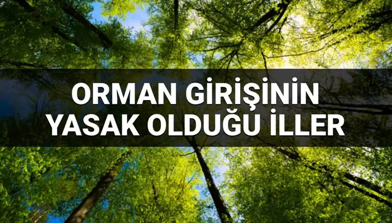 Hangi İllerde Ormana Girmek Yasak? 2025 Yılına Dair Detaylar