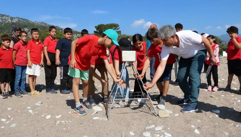 Kemer'de Caretta Caretta Koruma Yasakları Başladı: Doğa Severlere Dikkat!