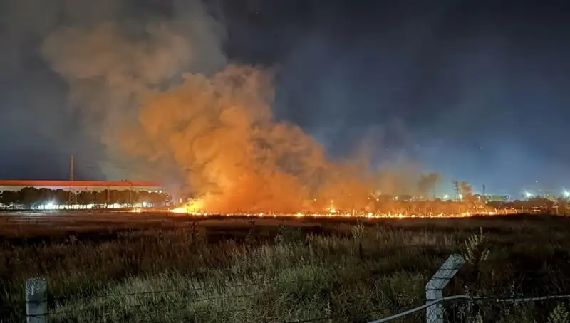 İzmir'de Gece Yarısı Korkutan Yangın: Panik ve Kaos