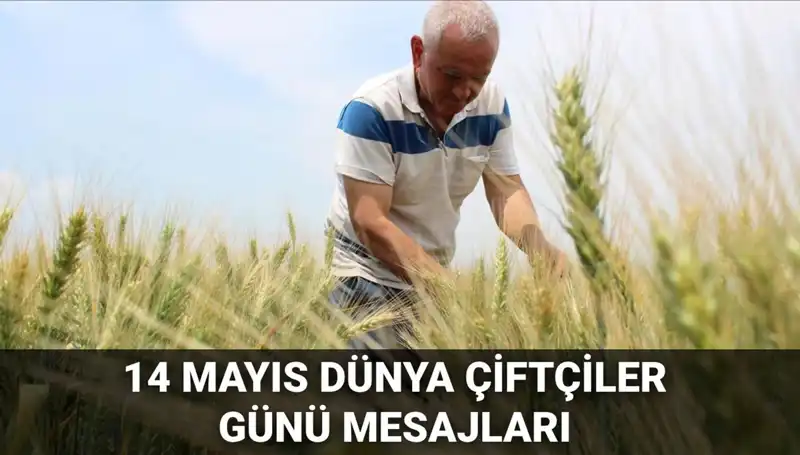 Dünya Çiftçiler Günü 2025: Çiftçi Emeklerinin Kutlandığı Anlamlı Mesajlar