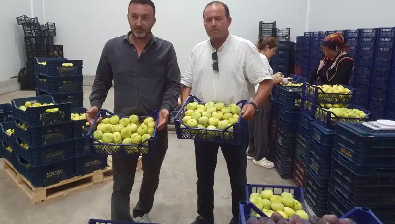 Mersinli Çiftçilerin Ürünleri İhraç Ediliyor: Yüzde 100 Kazanç Garantisi