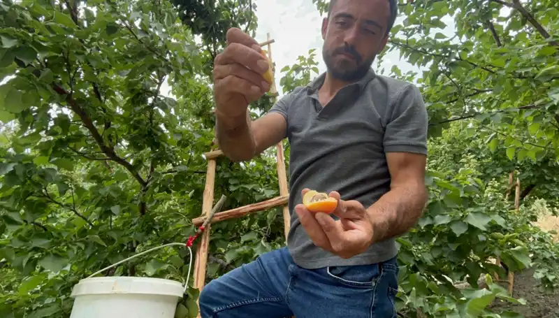 Tadı Damağınızda Kalacak: 50-70 TL Aralığında Satılan Lezzetler