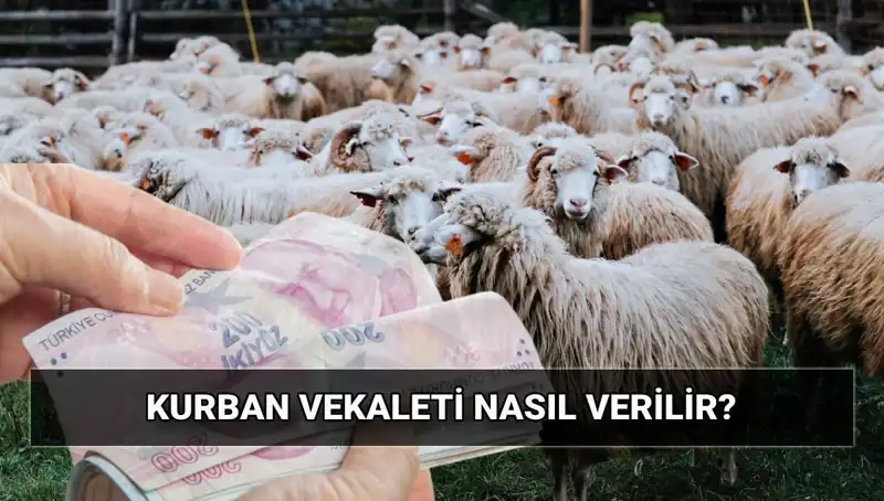Vekaletle Kurban Kesimi: Diyanet 2025 Bedelini Açıkladı