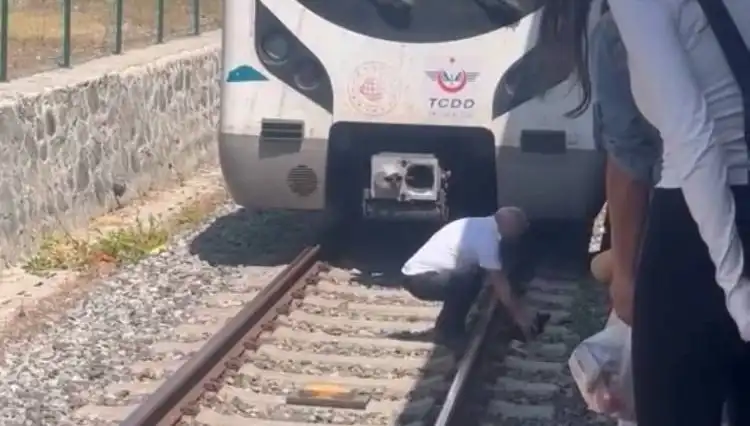 İstanbul’da Makinistten Örnek Davranış: Marmaray’ı Durdurup Kediyi Kurtardı