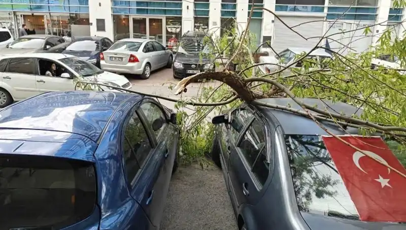 Kayseri'yi Vuran Şiddetli Fırtına Dalları Kırdı, Şehirde Zarar Büyüyor