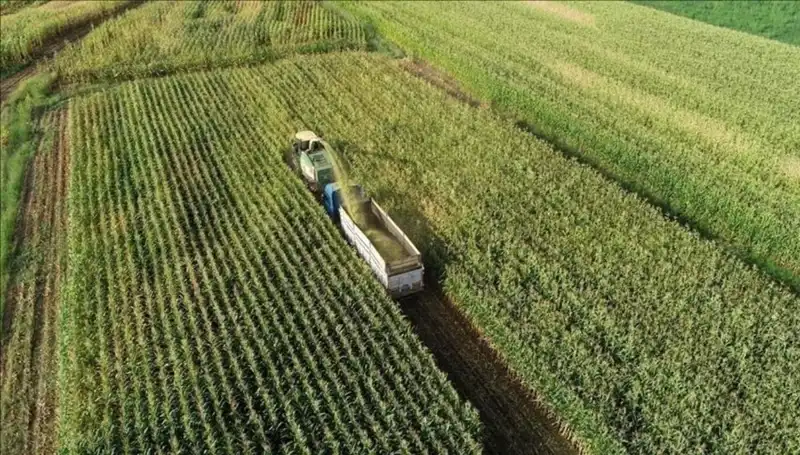 Mart 2025 Mazot ve Gübre Desteği Ödemeleri: Son Durum Nedir?