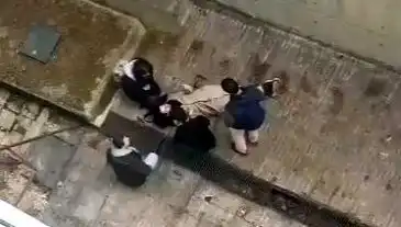 Kampüste Köpek Paniği: Kaçarken 4 Metreden Betona Düşen Öğrenci